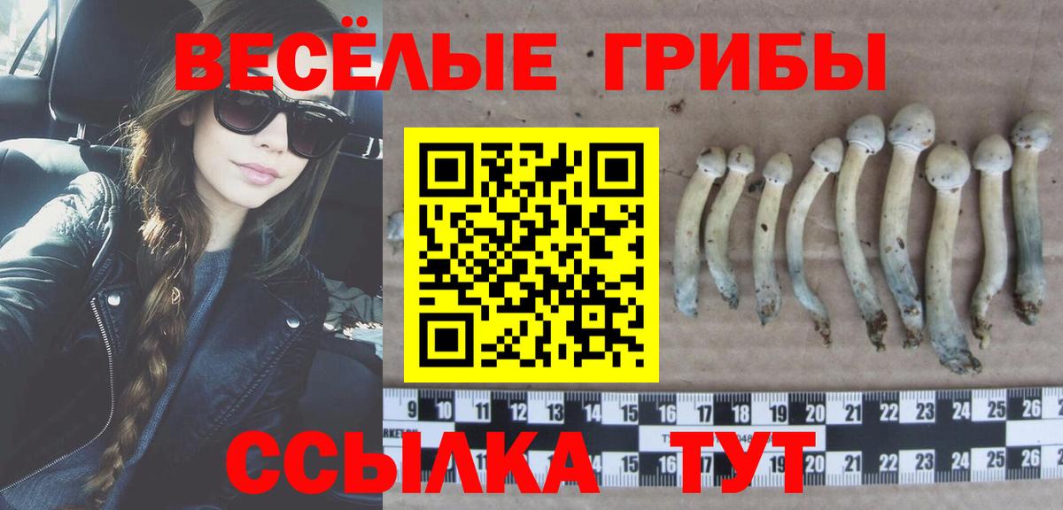 Псилоцибиновые грибы прущие грибы  Вход с VPN  Карпинск 